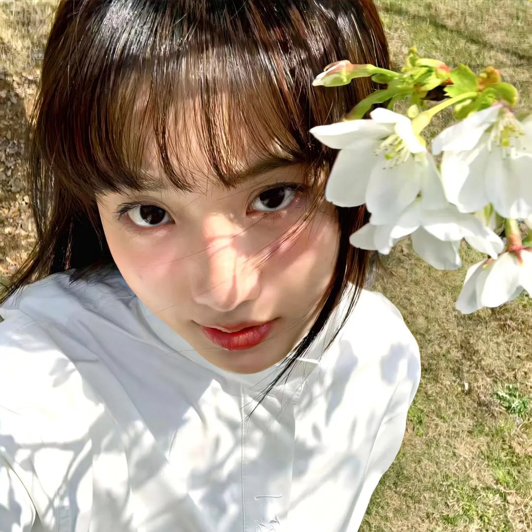 苏哈列夫塔楼之谜